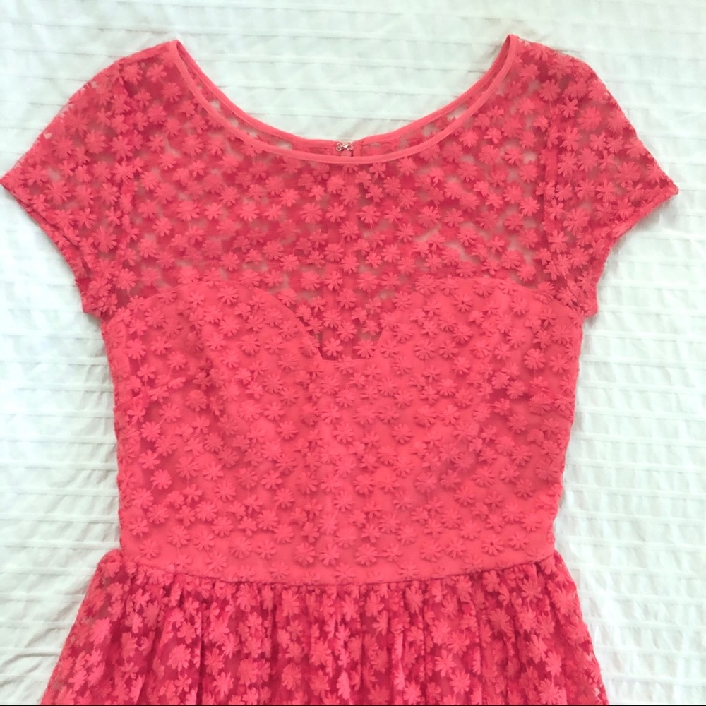 Anthropologie NM Artelier embroidered mesh dress🍉 - Picture 3 of 10